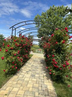 Turul Apartman84