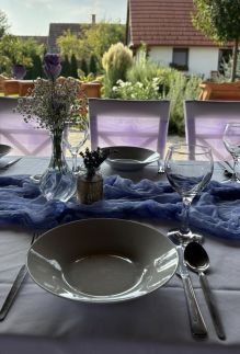 Turul Apartman86