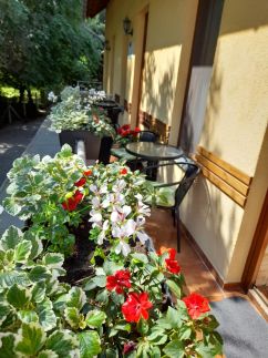 Bambusz Apartman29