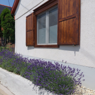 Fehér Szeder Vendégház