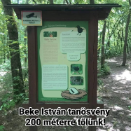 Ábrányi Vendégház