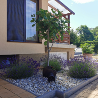 Kovács Apartmanház