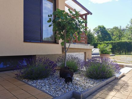 Kovács Apartmanház