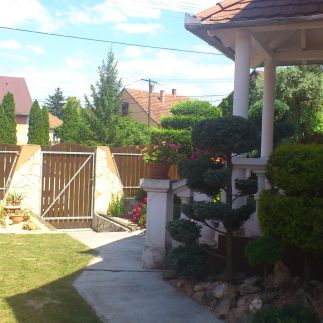 Táncsics Apartman1
