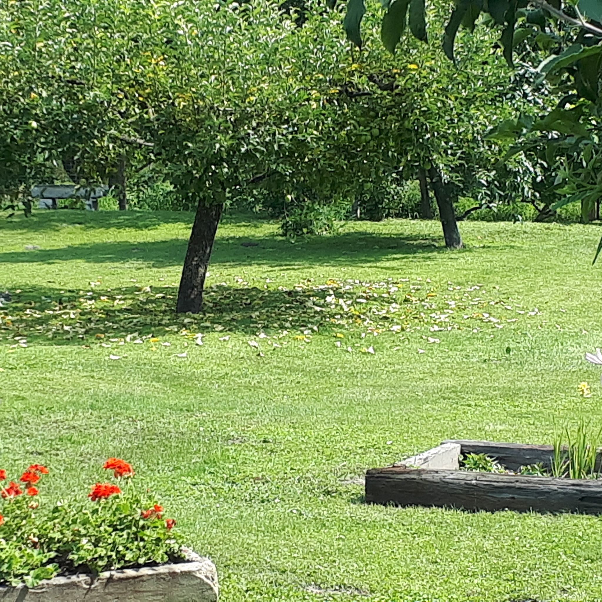 Csóka Apartman – Pápa fotó 3
