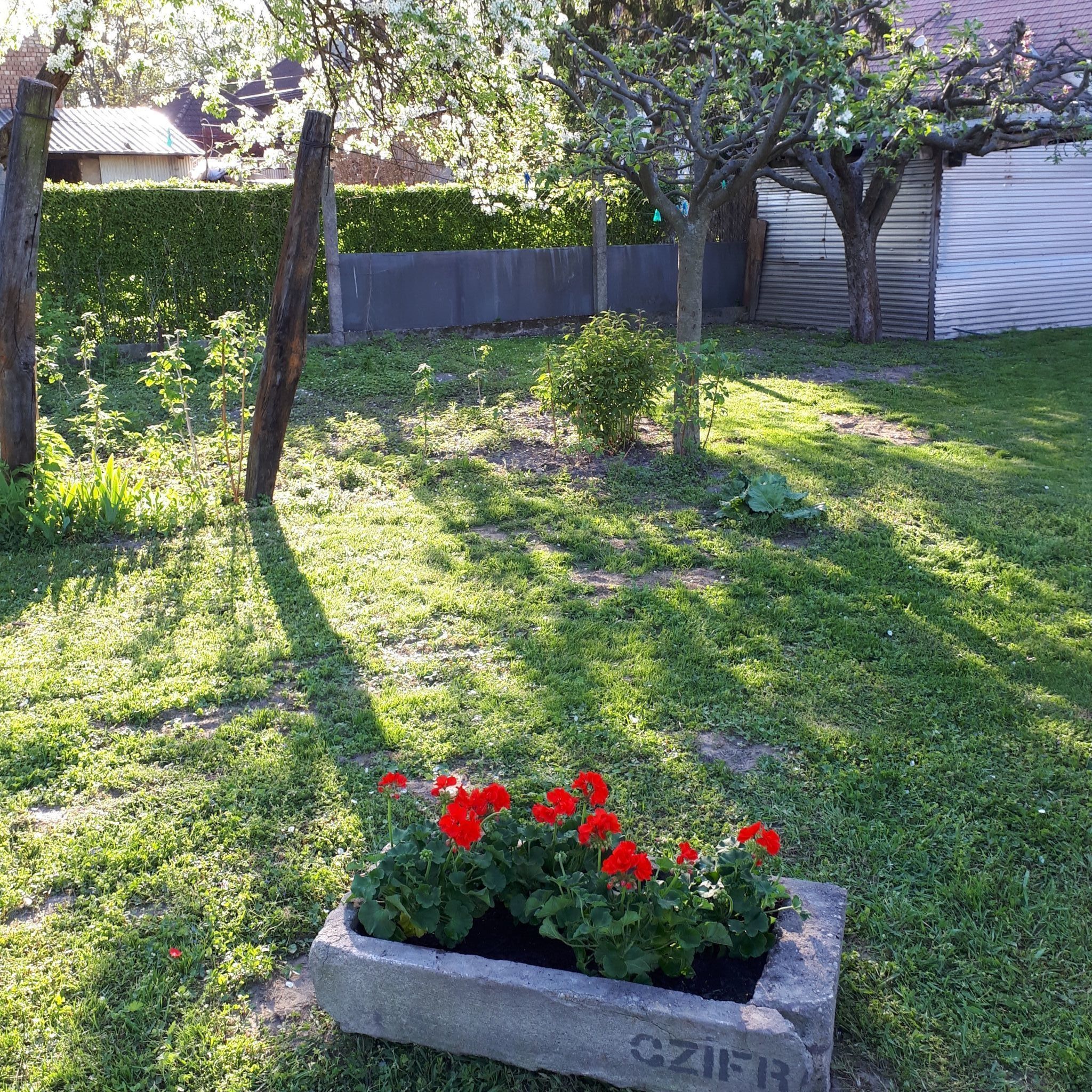 Csóka Apartman – Pápa fotó 8