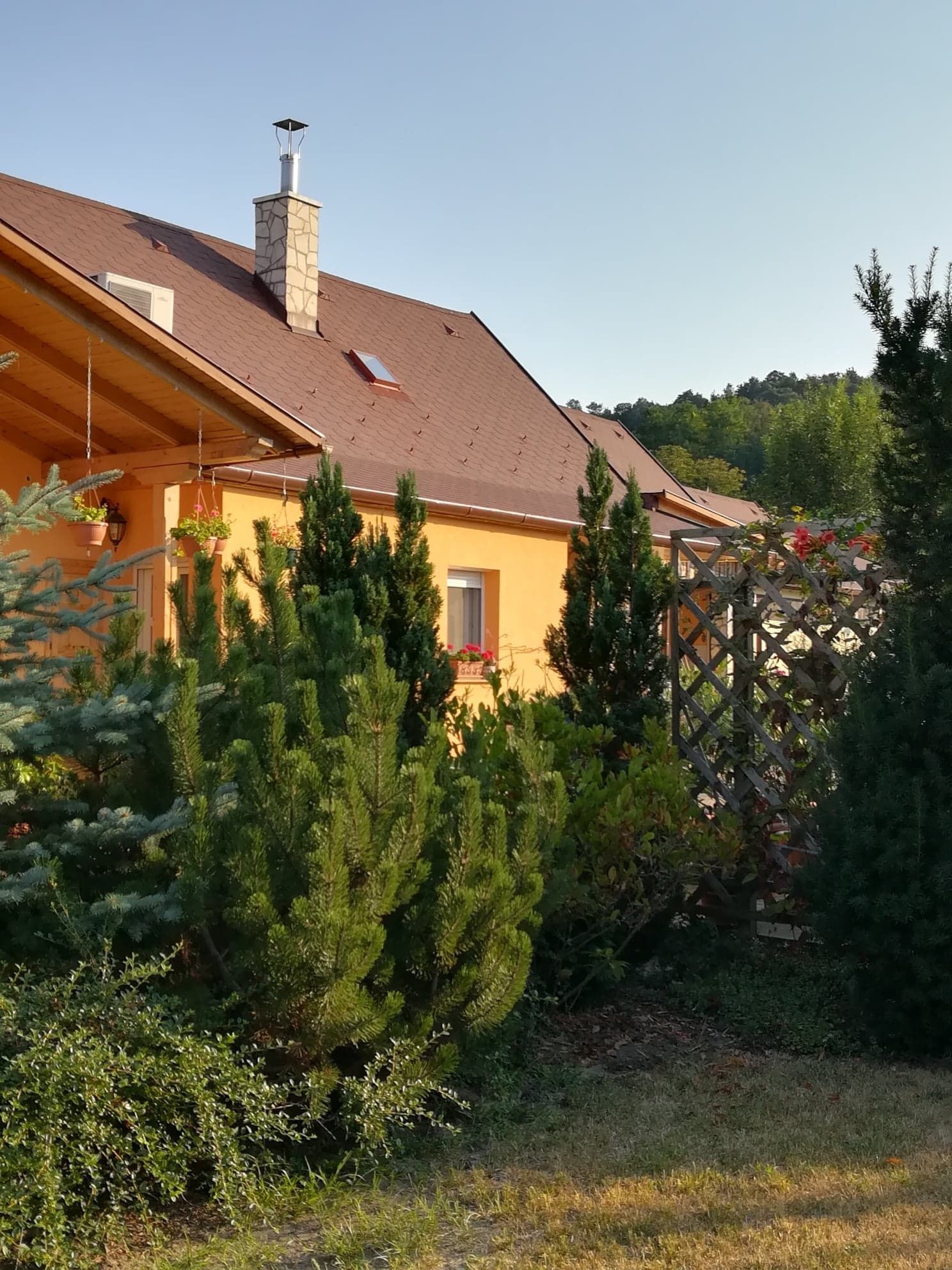 Csillaghegyi Vendégház – Bakonyszentkirály fotó 15