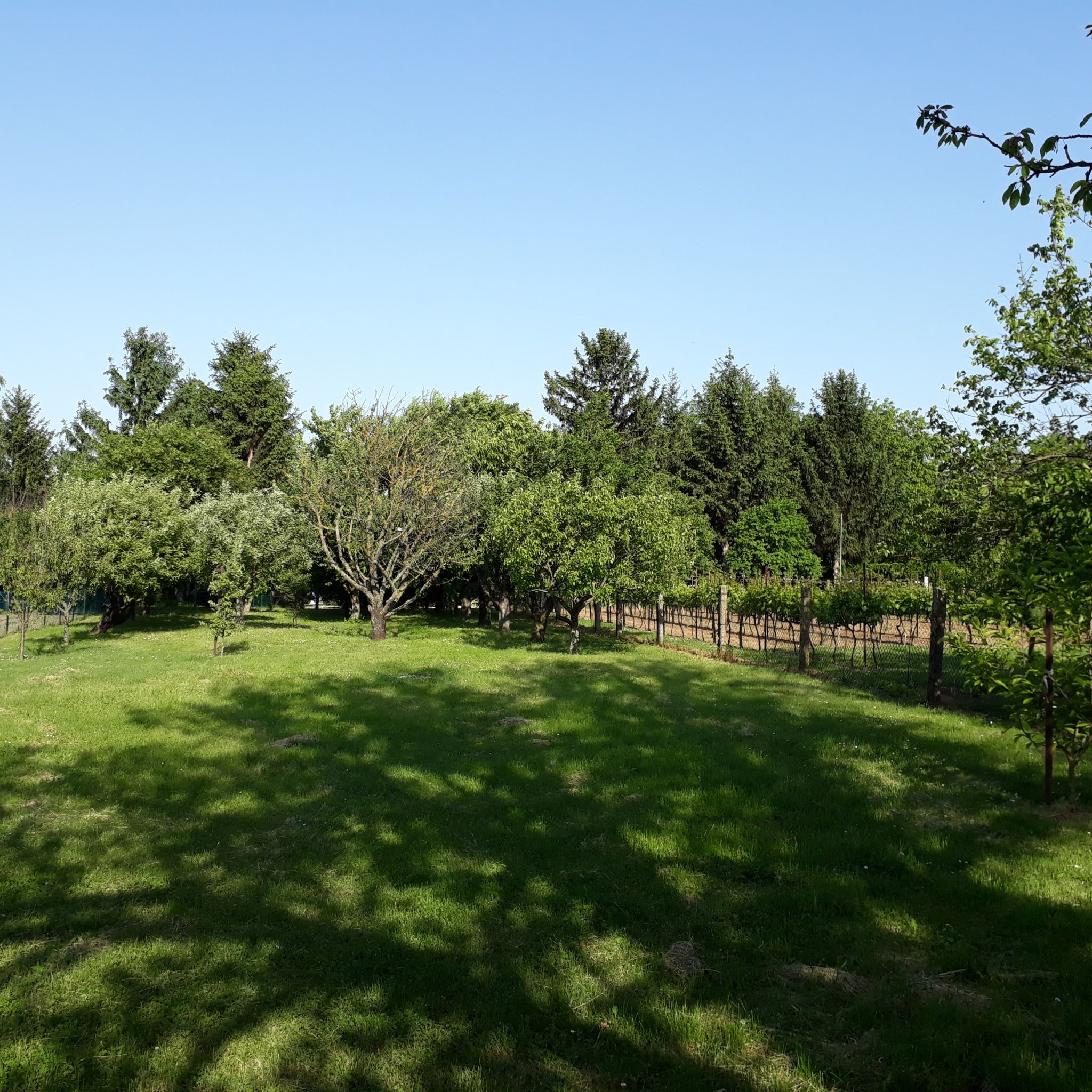 Lilla Apartman – Balatonberény fotó 6