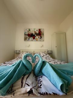 Tenkes Wellness Apartman1