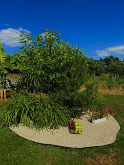 Tenkes Wellness Apartman5