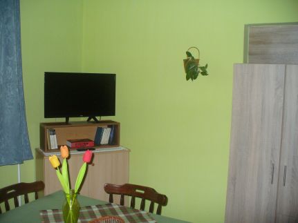 Pleiveisz Apartman10