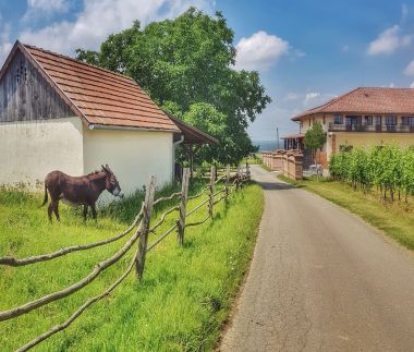 Ebner Pince Panzió13