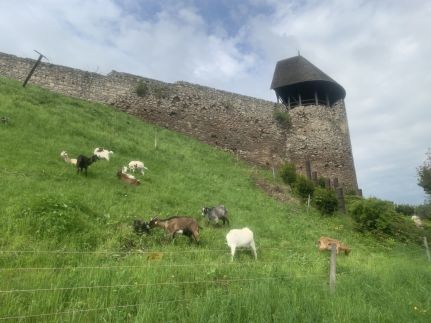 Levendula Ház – Vác fotó 8