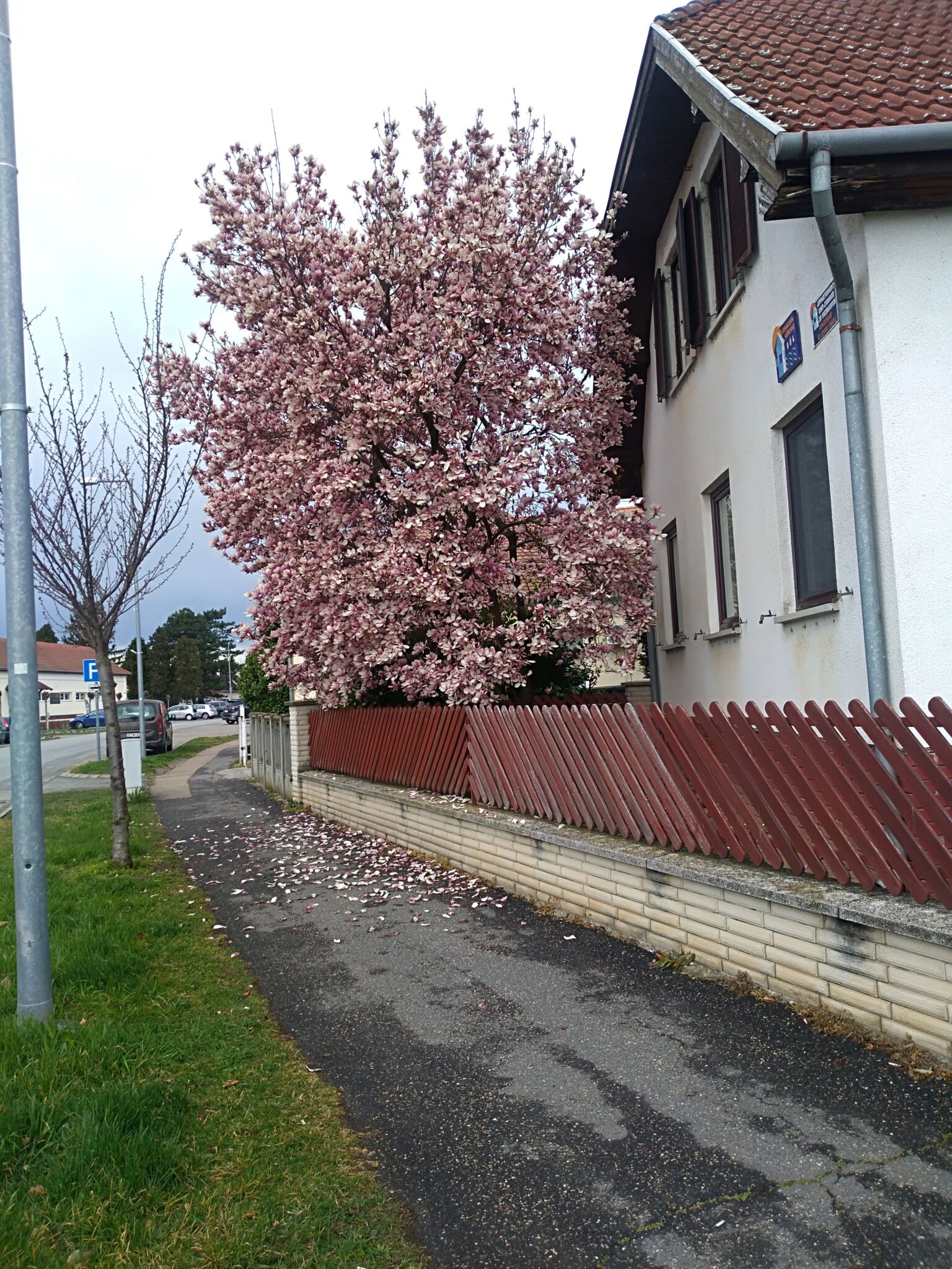 Márta Apartman – Bük fotó 7