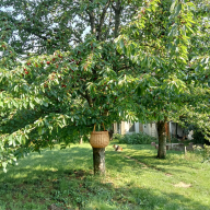 Múltidéző Apartman