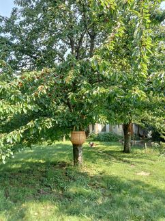 Múltidéző Apartman