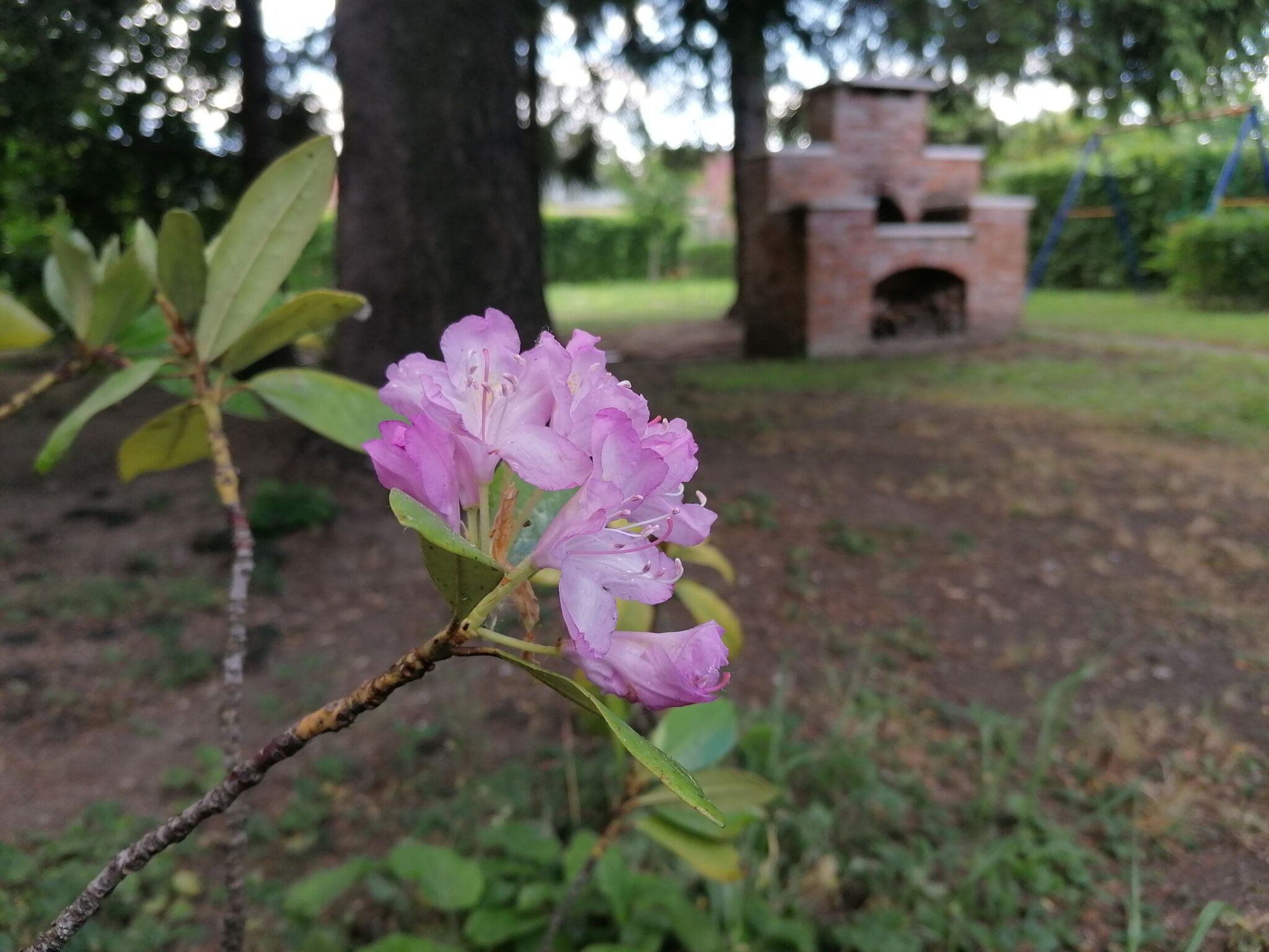 Venite Apartman – Sárvár fotó 13