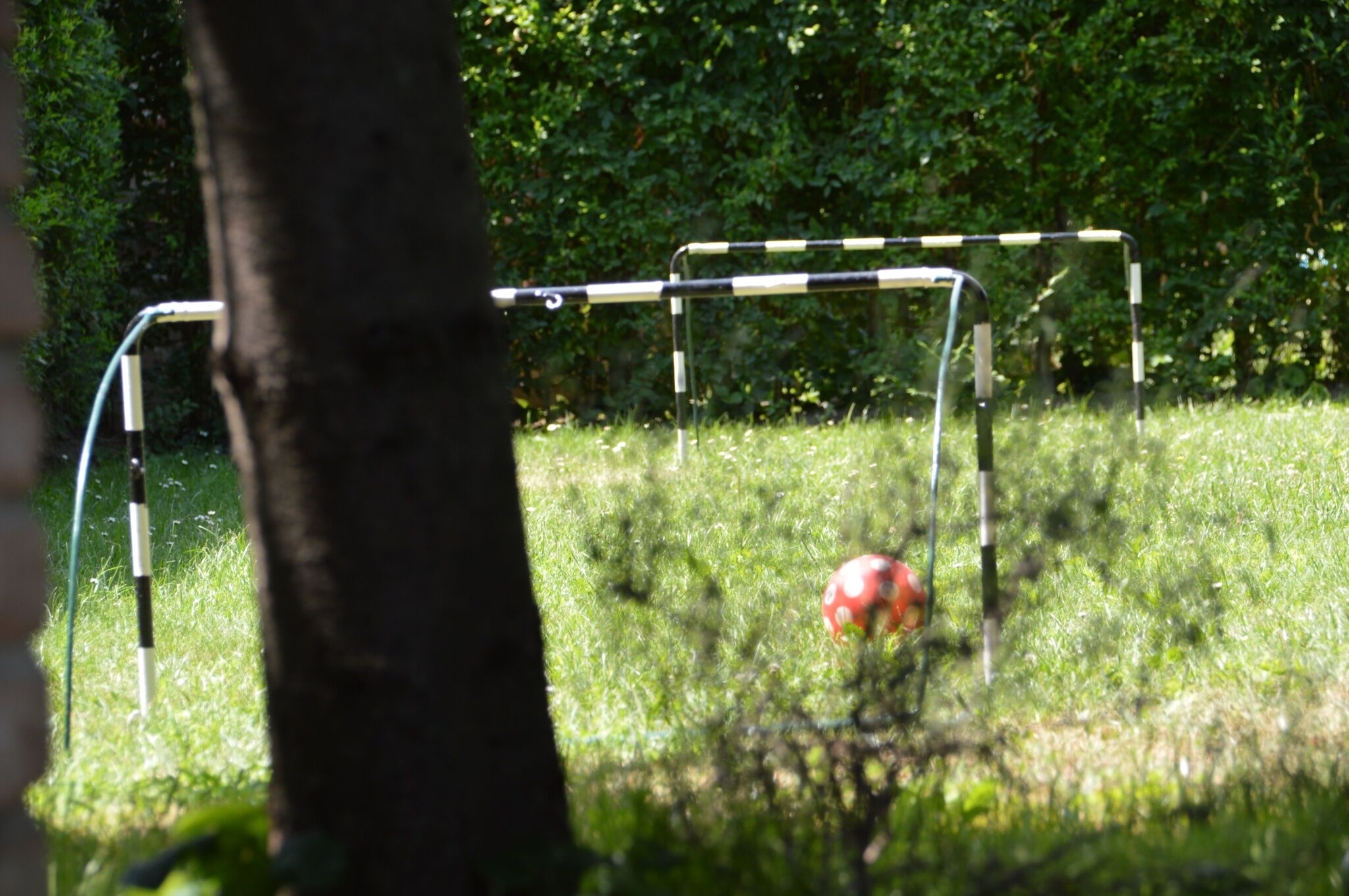Venite Apartman – Sárvár fotó 15