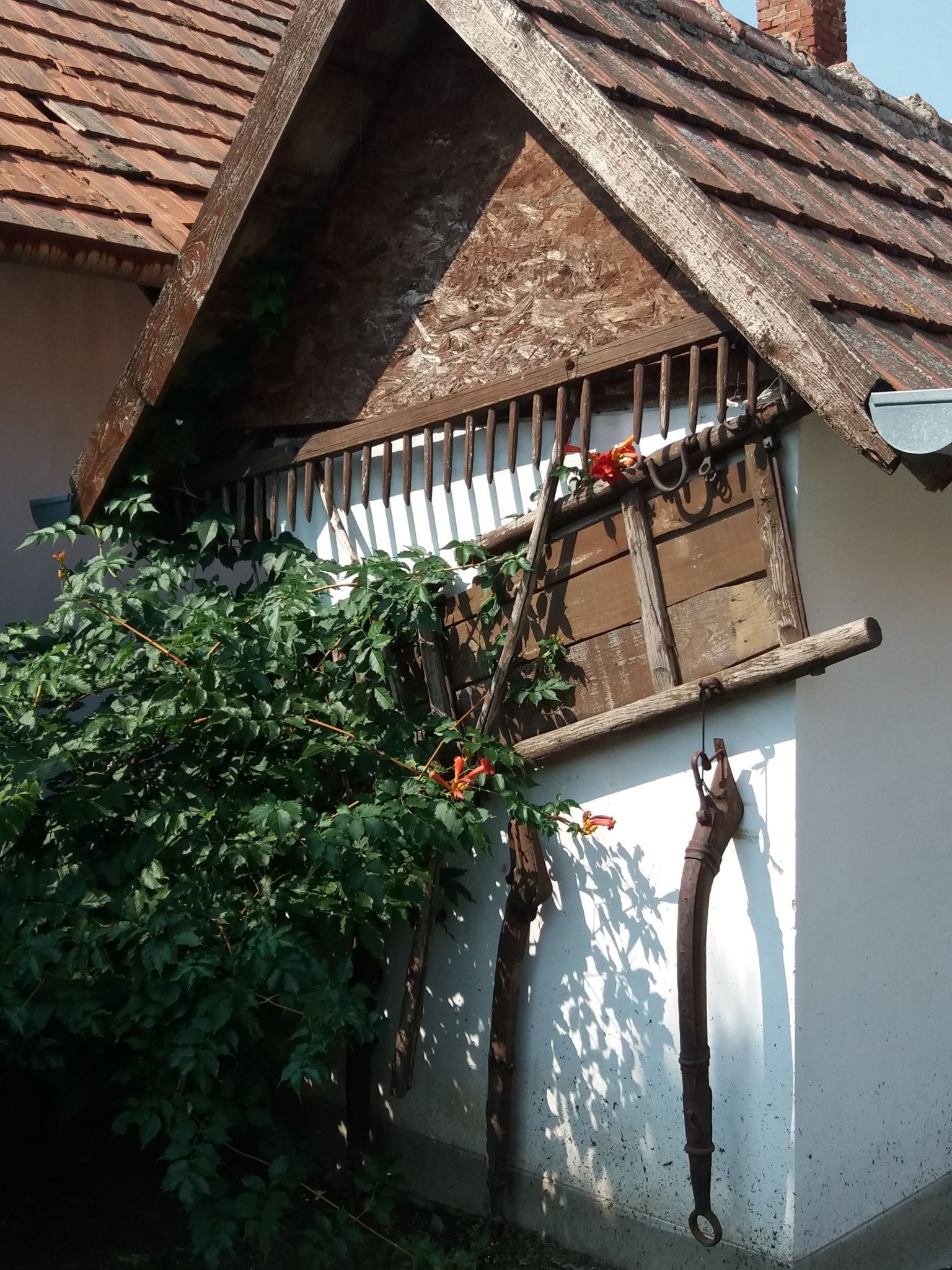 Jázmin Vendégház – Tiszaörs fotó 3