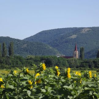 Dósa Tanya Vendégház5