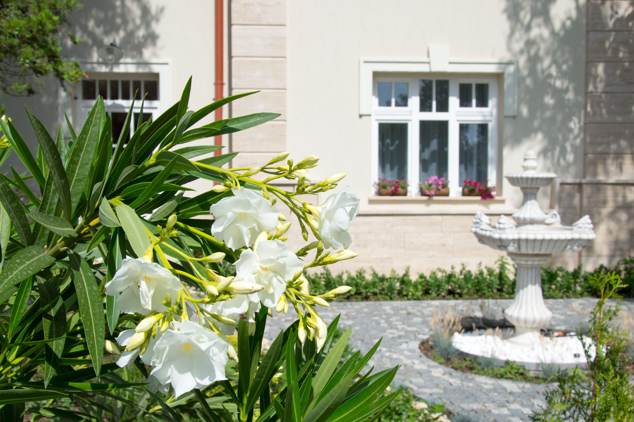 Villa Fontana Apartmanok – Balatonfüred fotó 5