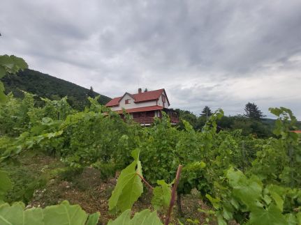 Szőlőcskei Vendégház és Pihenő20