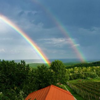 Szőlőcskei Vendégház és Pihenő7