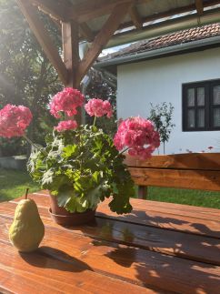 Gerendás Vendégház48