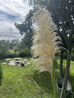 Gerendás Vendégház51