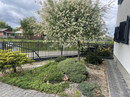 Sirály Apartman23