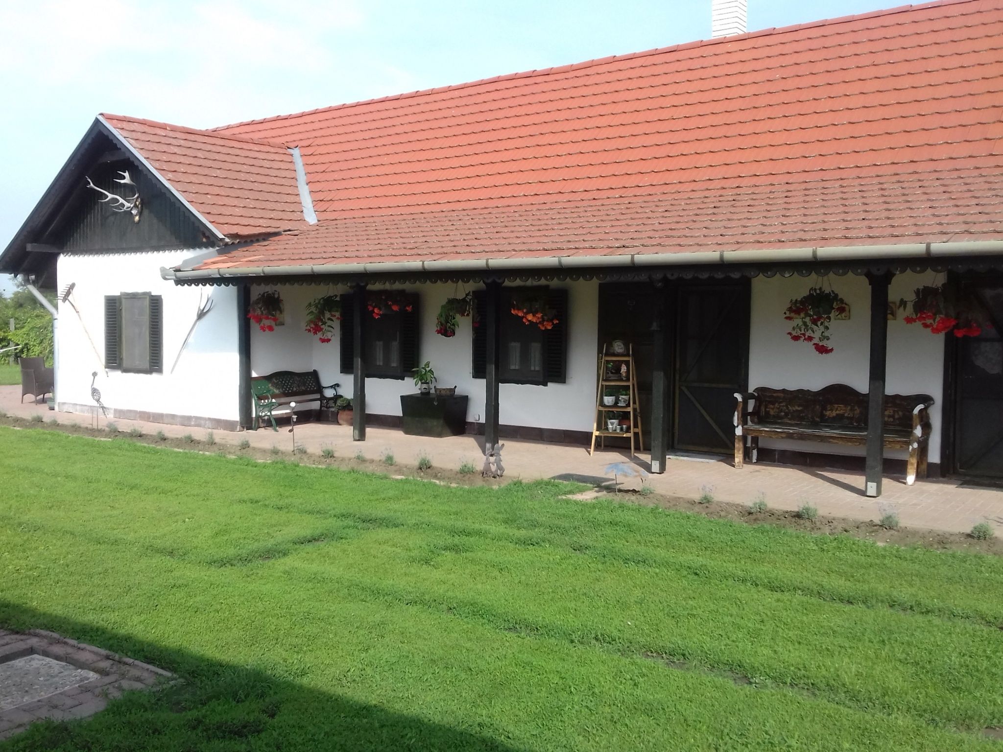Szívünk Csücske Vendégház – Sarud fotó 2