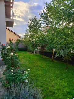 Villa Lenka12
