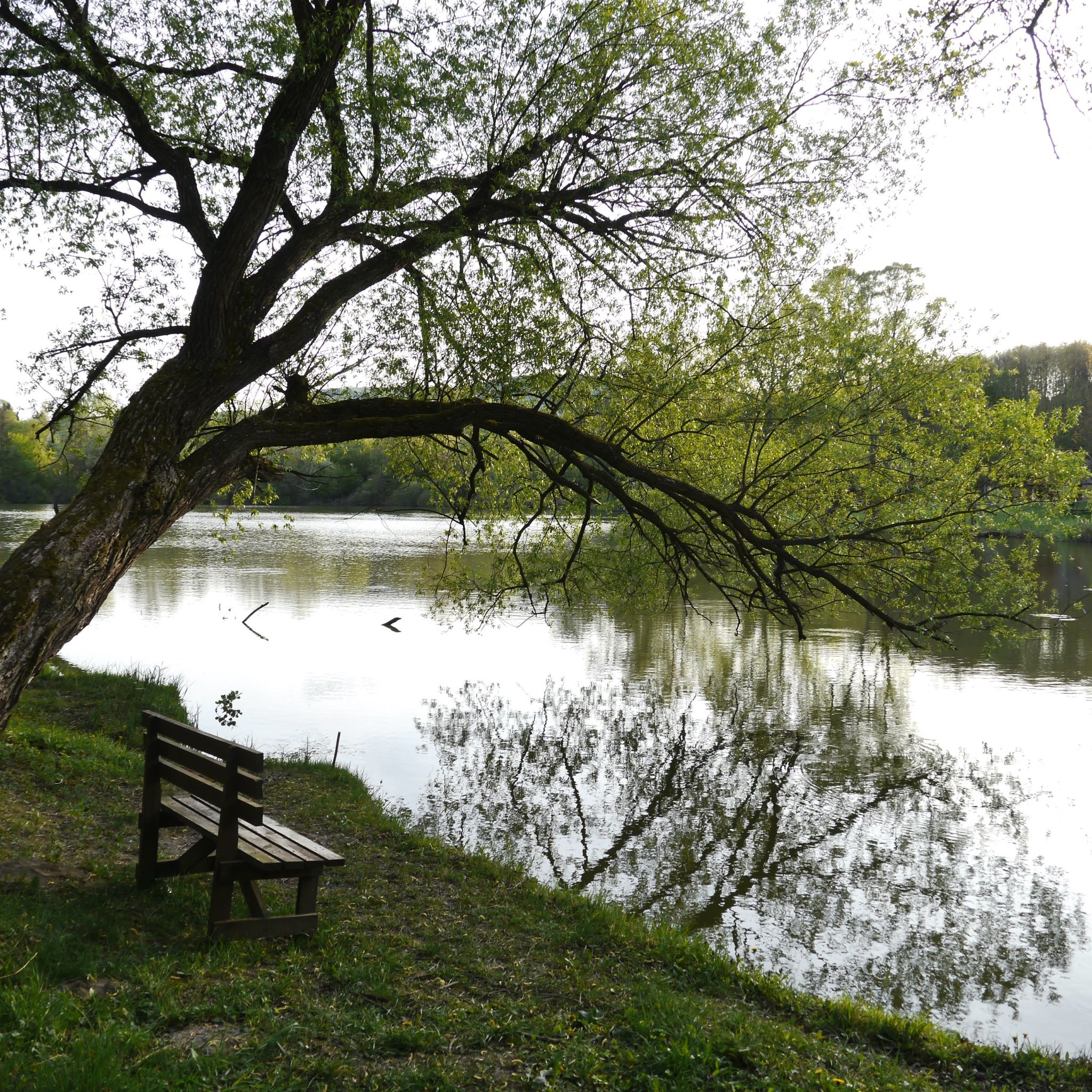 Szarvaskő Nyaraló – Esztergom fotó 17
