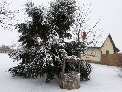 Kis Ház Apartman