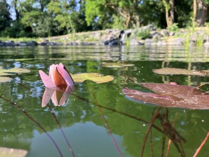 Gyógynövénylak Vendégház23