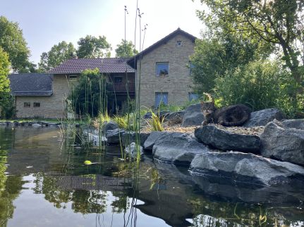 Gyógynövénylak Vendégház24