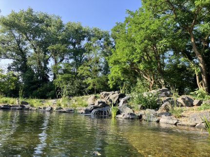 Gyógynövénylak Vendégház25