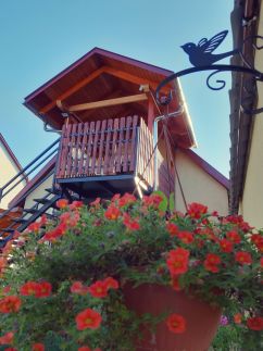 Jolie Apartman14