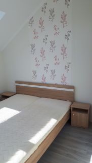 Zöld Béka Exclusive Apartman1