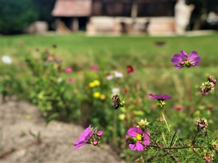 Ki-kötő Familyretreat Vendégház19