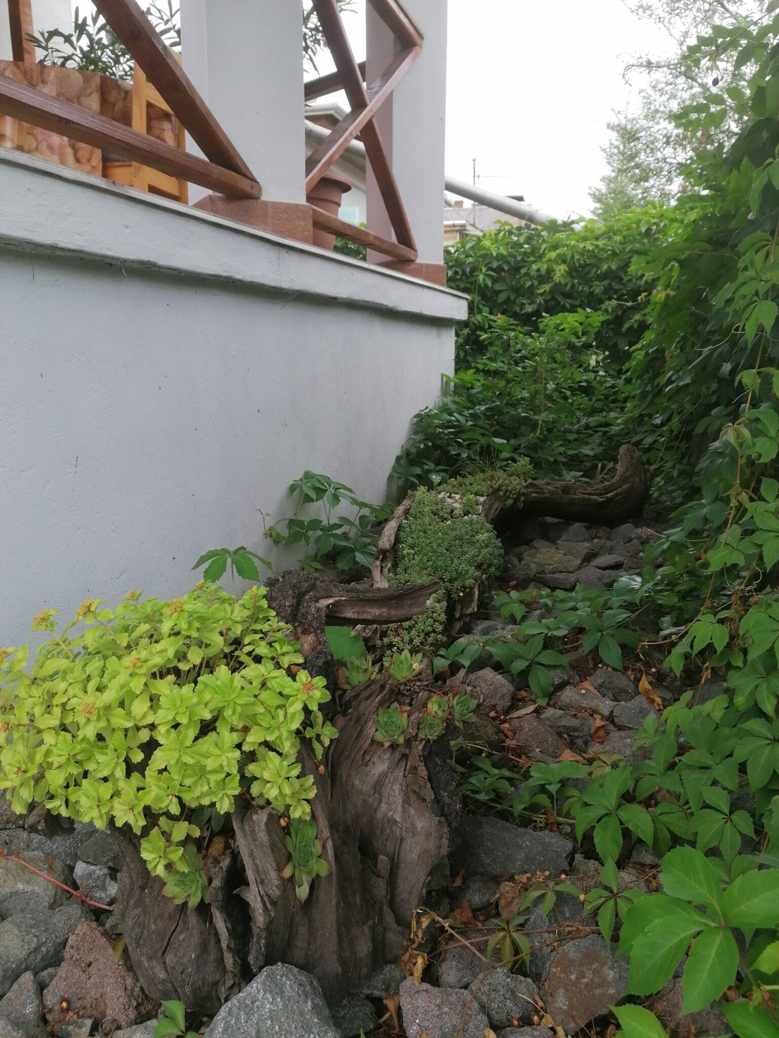 Aleksandros Apartman – Mezőkövesd fotó 6
