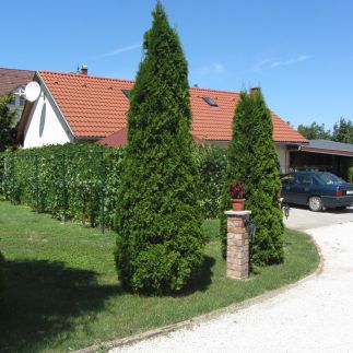 Meni Apartmanház Balatonföldvár