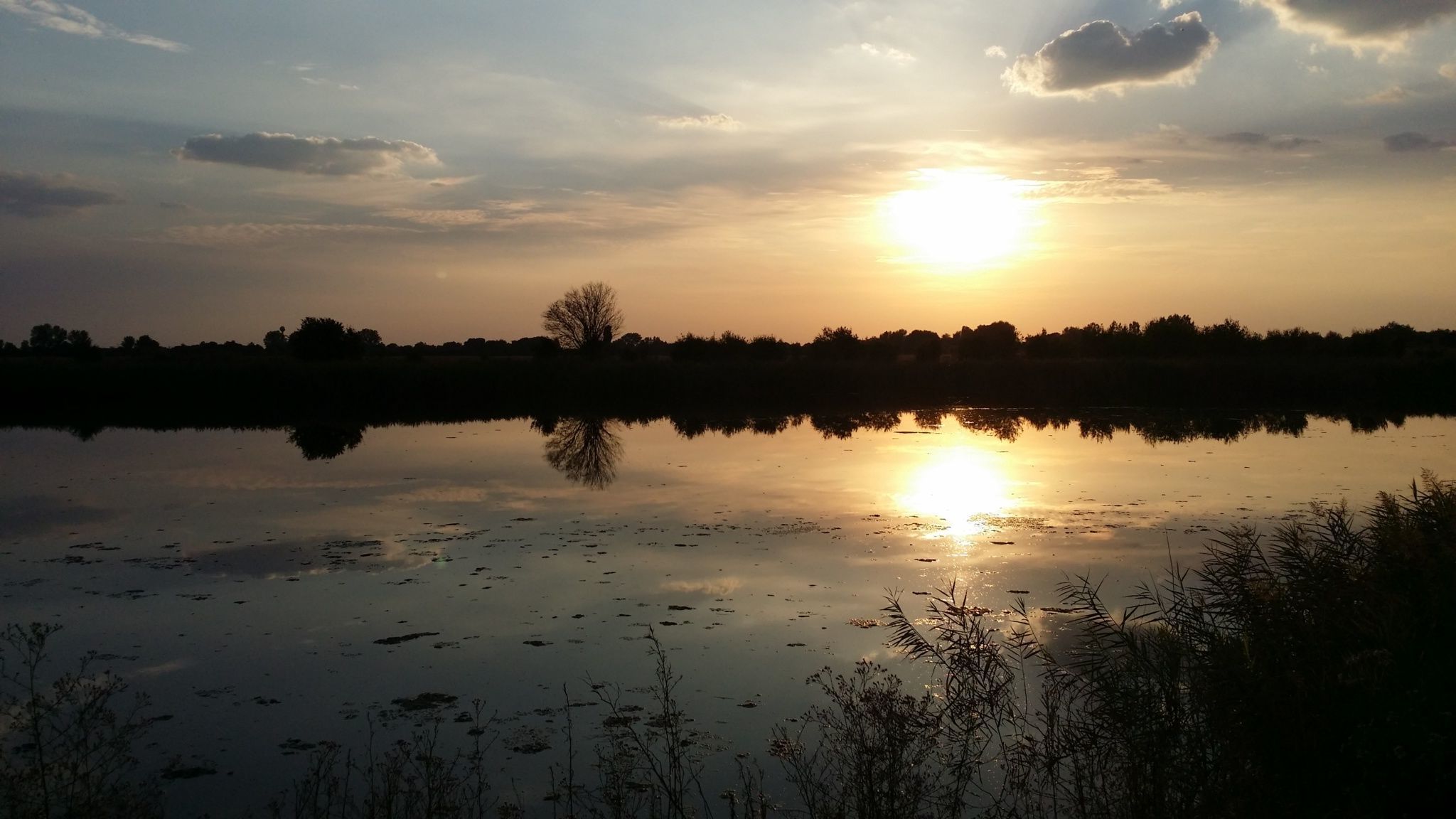 Nagyfoki Alfi Nyaraló – Szarvas fotó 3