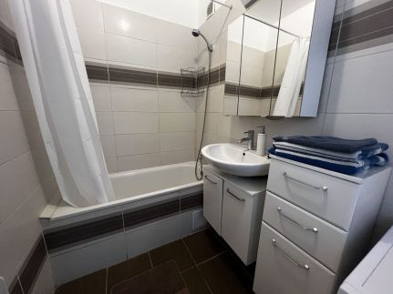 Dave Apartman4
