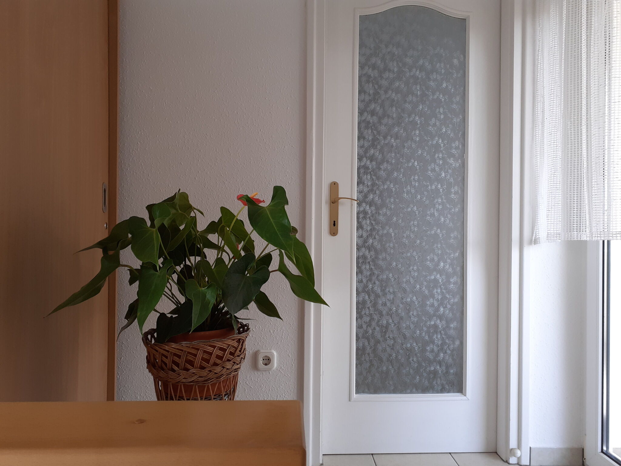Apartman Venus – Hévíz fotó 40