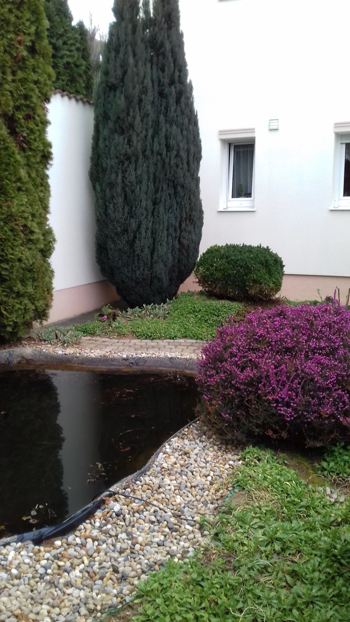 Apartman Venus – Hévíz fotó 4
