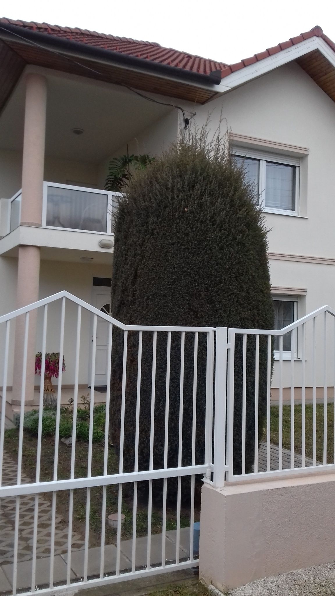 Apartman Venus – Hévíz fotó 6