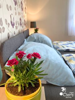 Cherry Apartman11
