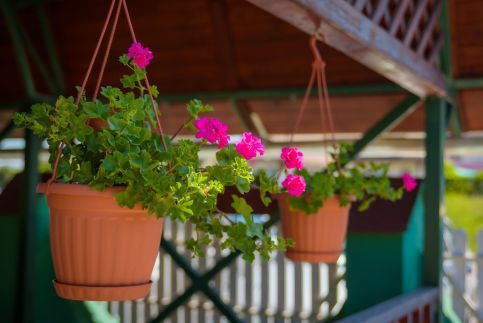 HBH Bajor Sörház és Panzió41