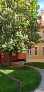Piacsek Apartmanház11